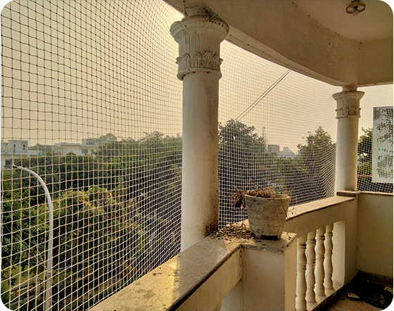 Pigeon Netting